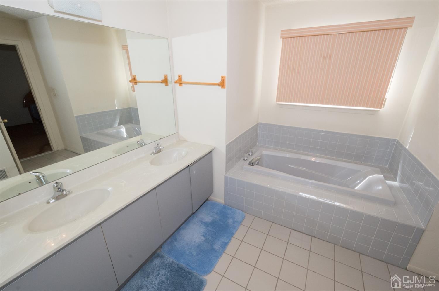 302 Pegasus Road Piscataway, NJ 08854 - Photo 19 of 27 a spacious bathroom with a bathtub sink and mirror