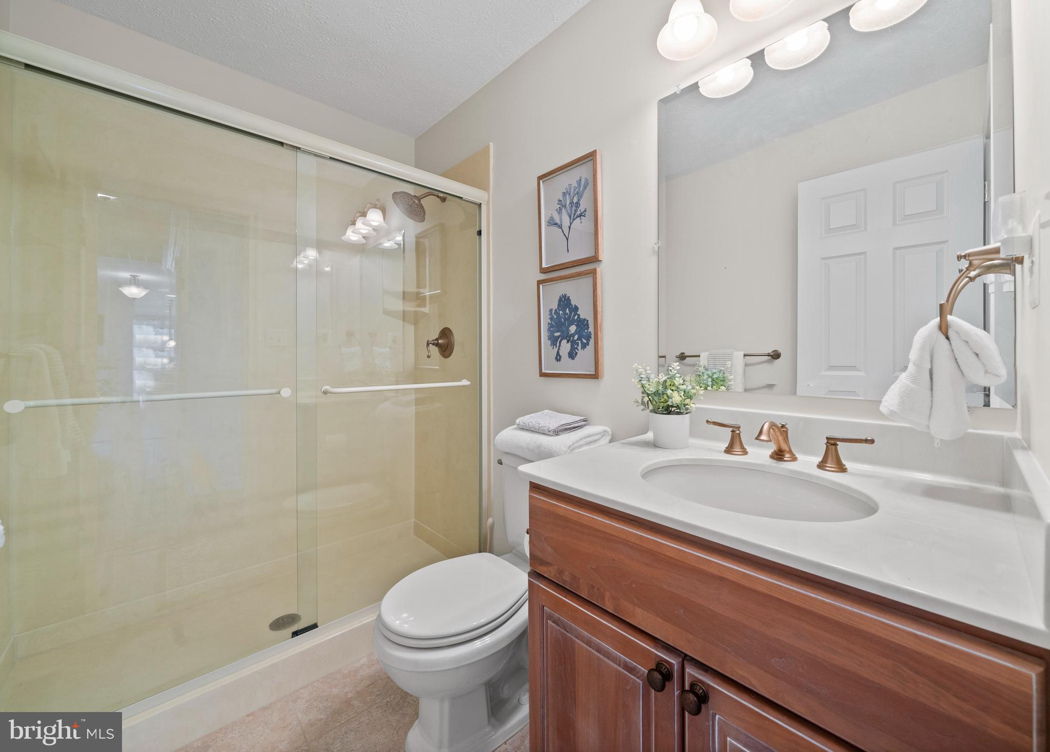 24991 Briscoe Road Hollywood, MD 20636 - Photo 99 of 130 a bathroom with a sink a toilet and shower