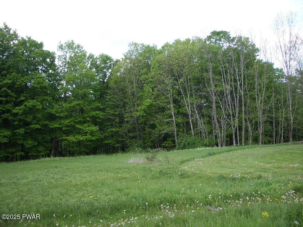 4 Avoy Heights Road Lake Ariel, PA 18436 - Photo 7 of 9
