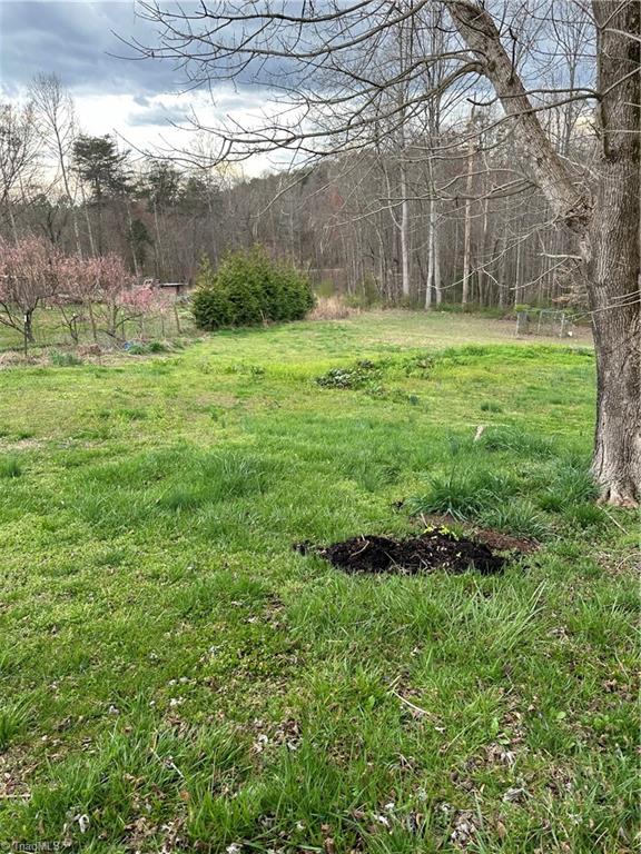 540 Prison Camp Road Dobson, NC 27017 - Photo 8 of 46 Gallery Image 8