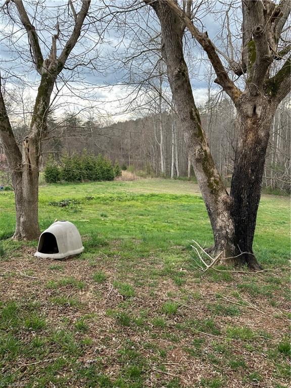 540 Prison Camp Road Dobson, NC 27017 - Photo 10 of 46 Gallery Image 10