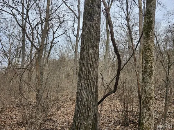 $885,000 | 0 M- North Highway, Hartville, MO 65667