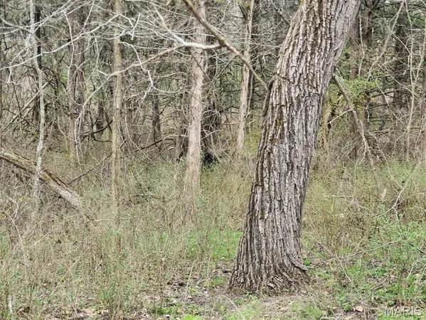 $885,000 | 0 M- North Highway, Hartville, MO 65667