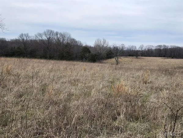 $885,000 | 0 M- North Highway, Hartville, MO 65667