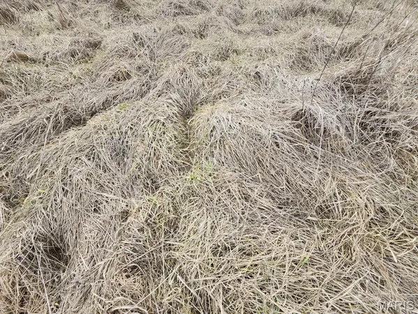 $885,000 | 0 M- North Highway, Hartville, MO 65667