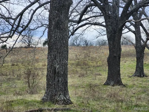 $885,000 | 0 M- North Highway, Hartville, MO 65667