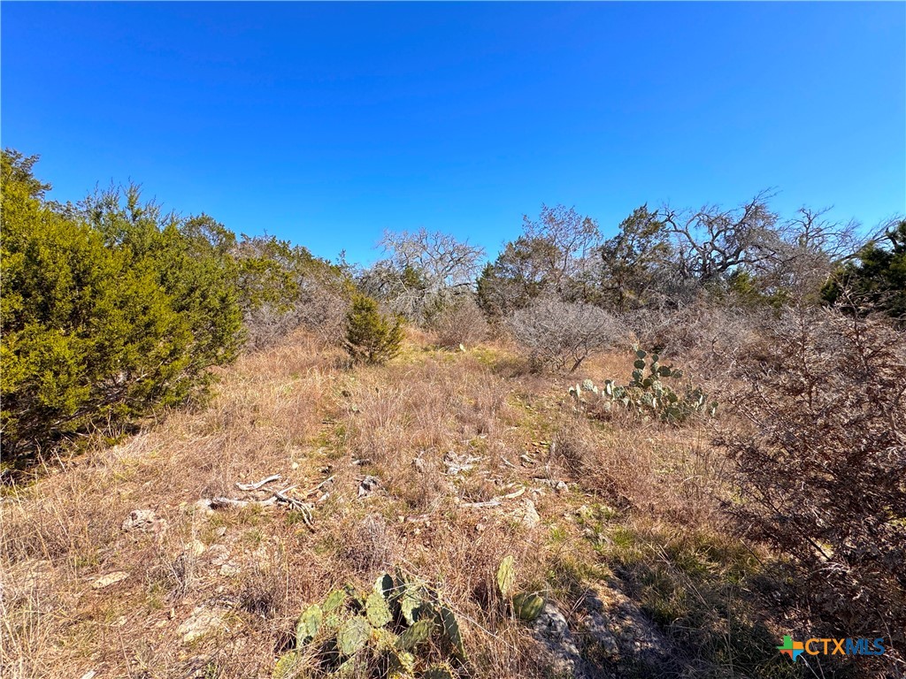 172 Rayner Court Spring Branch, TX 78070 - Photo 12 of 14