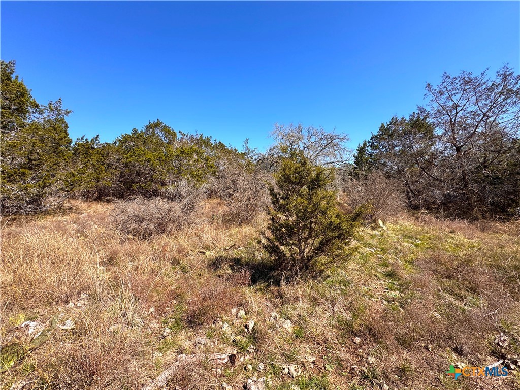 172 Rayner Court Spring Branch, TX 78070 - Photo 3 of 14