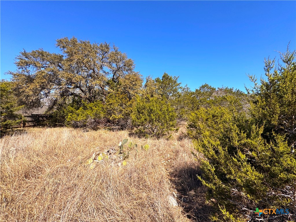 172 Rayner Court Spring Branch, TX 78070 - Photo 10 of 14