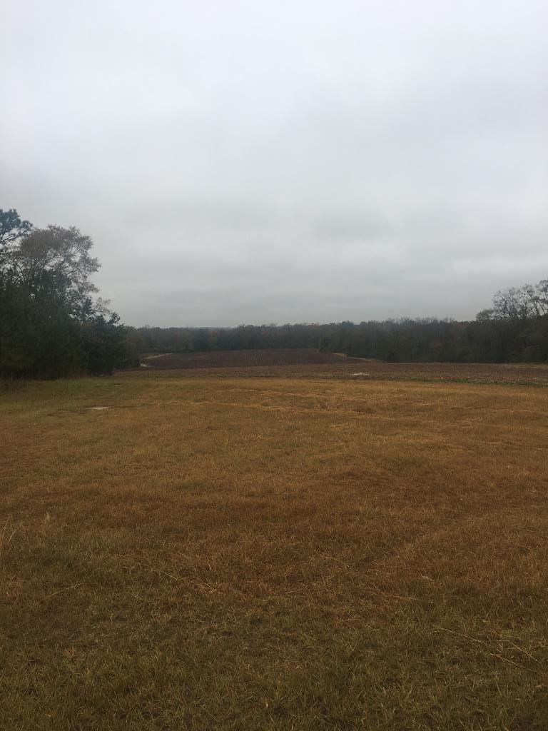 0 Avon Road Ashford, AL 36312 - Photo 3 of 4