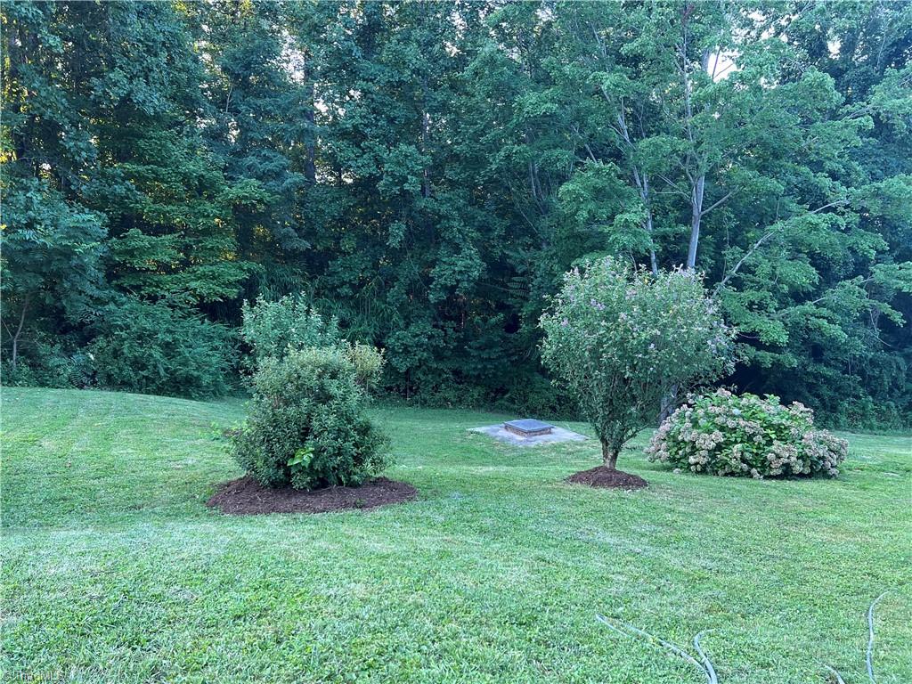 1988 Fancy Gap Road Mount Airy, NC 27030 - Photo 20 of 25