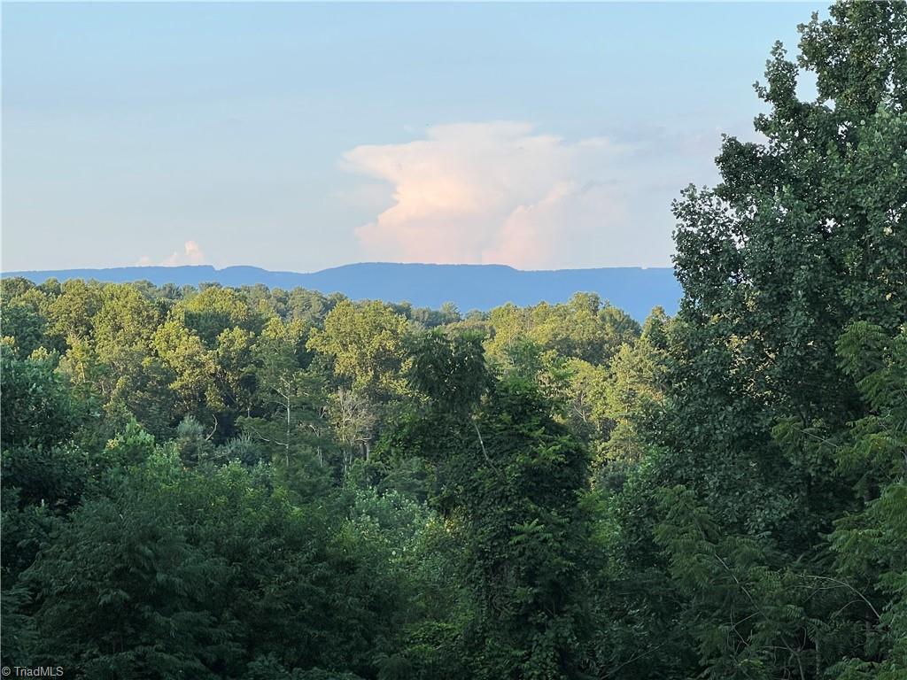 1988 Fancy Gap Road Mount Airy, NC 27030 - Photo 24 of 25