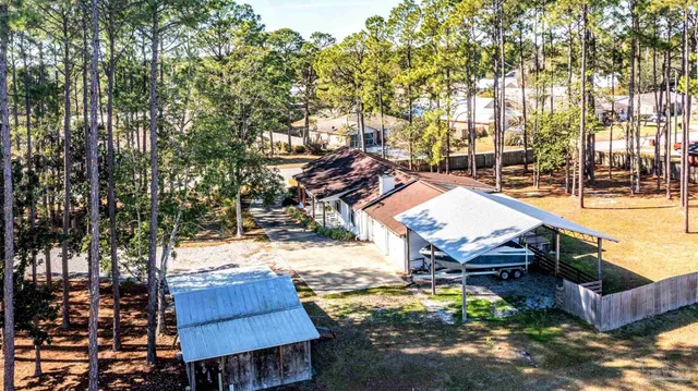 a view of a park with palm trees