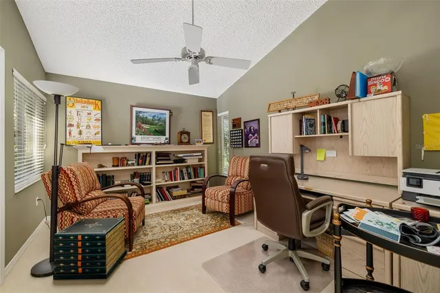 a close up of a plant in a garden