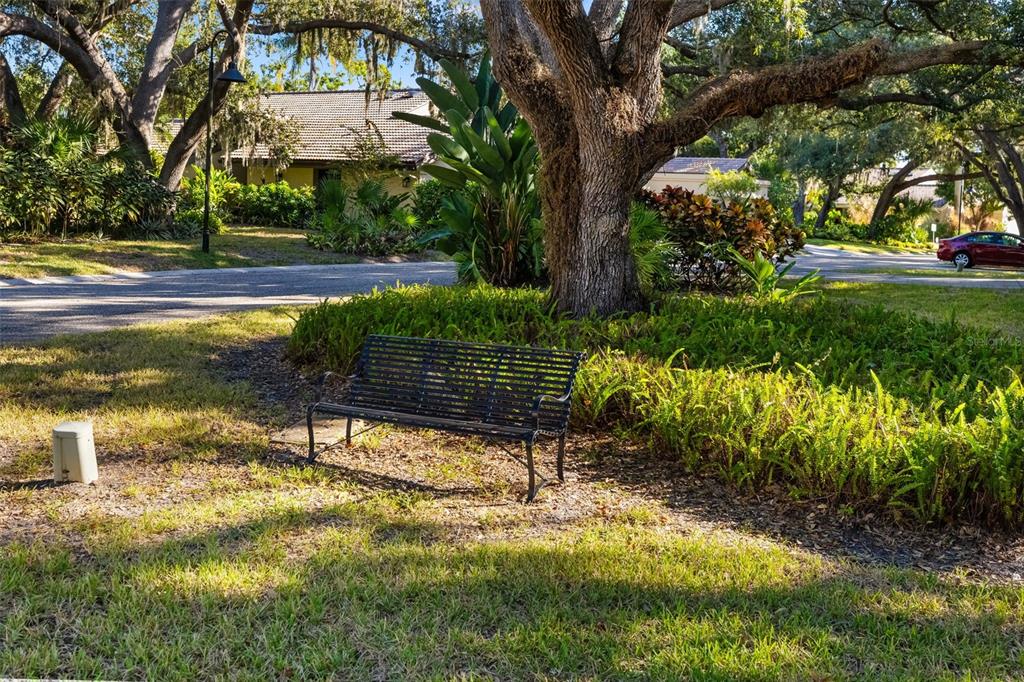4480 Ascot Circle South Sarasota, FL 34235 - Photo 45 of 76 a view of a yard with plants and large trees