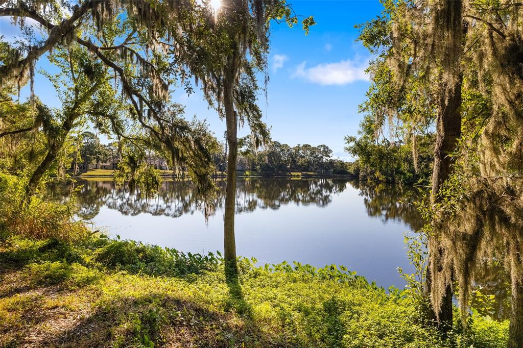 4480 Ascot Circle South Sarasota, FL 34235 - Photo 50 of 76 a view of a yard