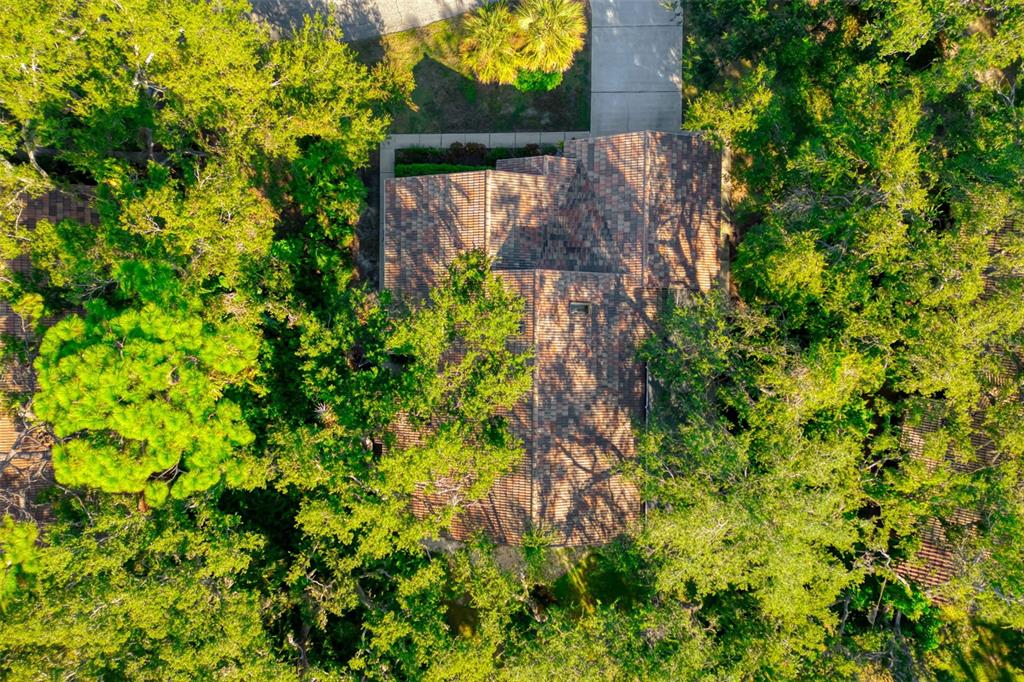 4480 Ascot Circle South Sarasota, FL 34235 - Photo 55 of 76