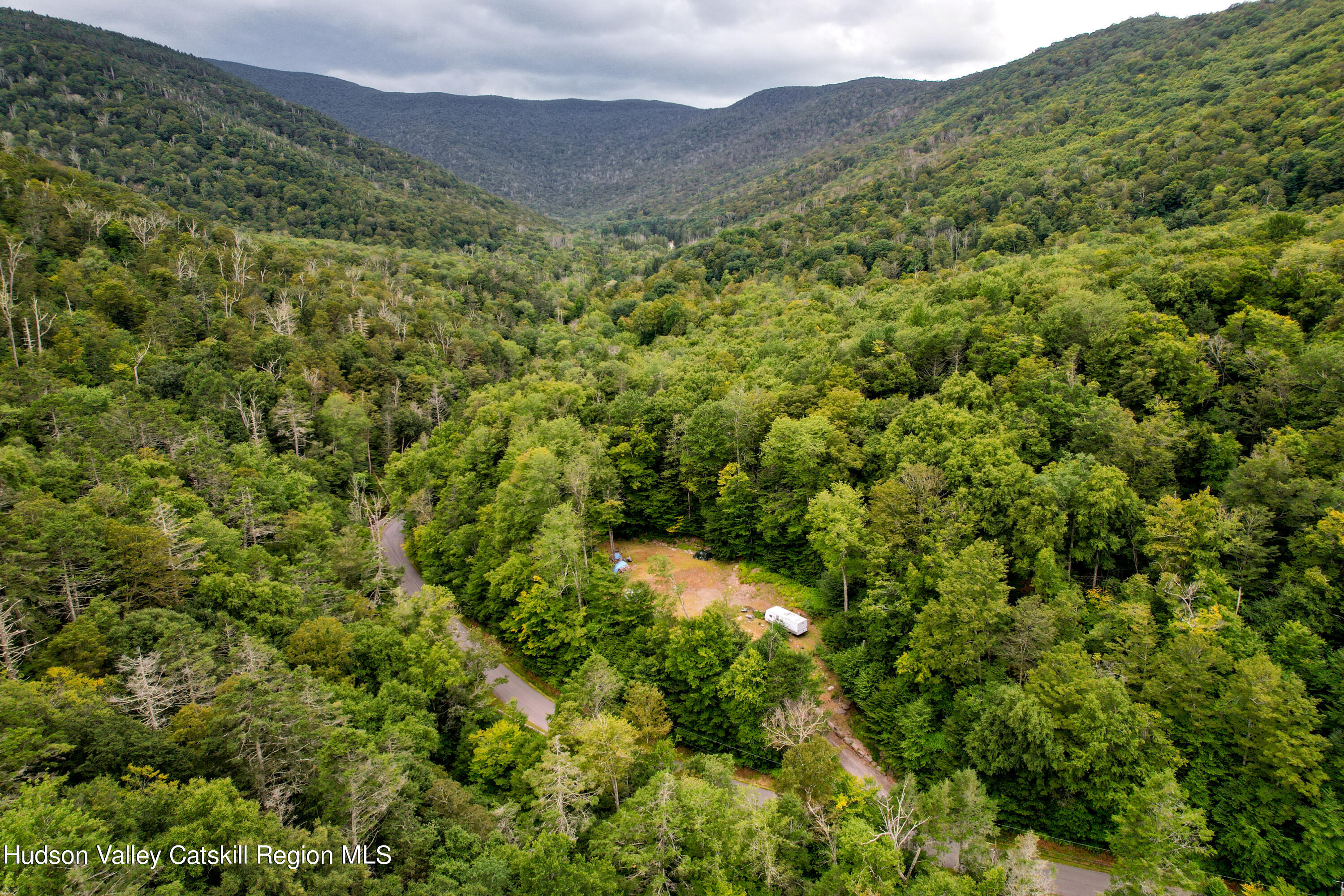 a view of a lush green forest with a mountain