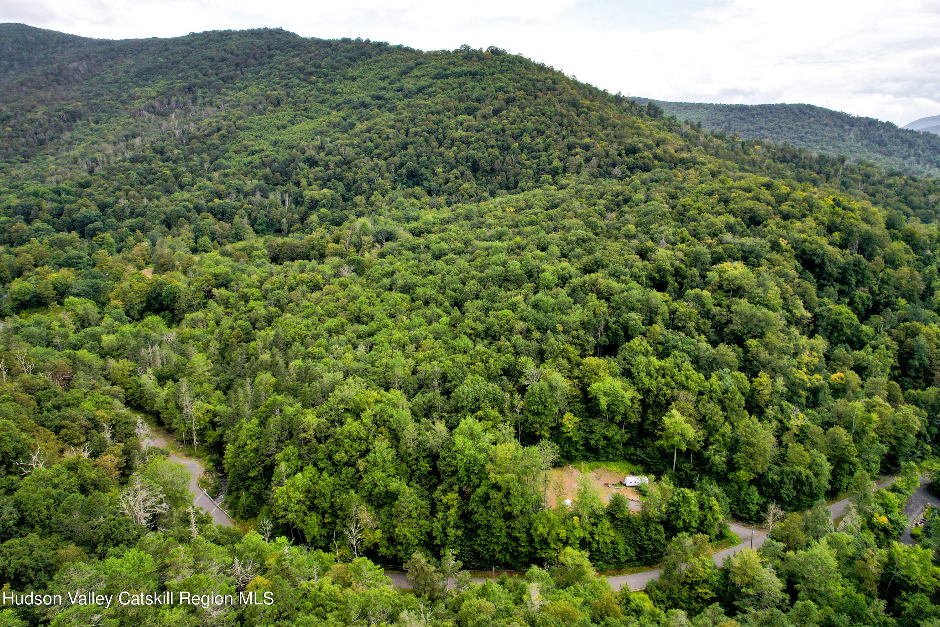 208 Pantherkill Road Phoenicia, NY 12464 - Photo 11 of 16 a view of a lush green forest with a lush green hillside