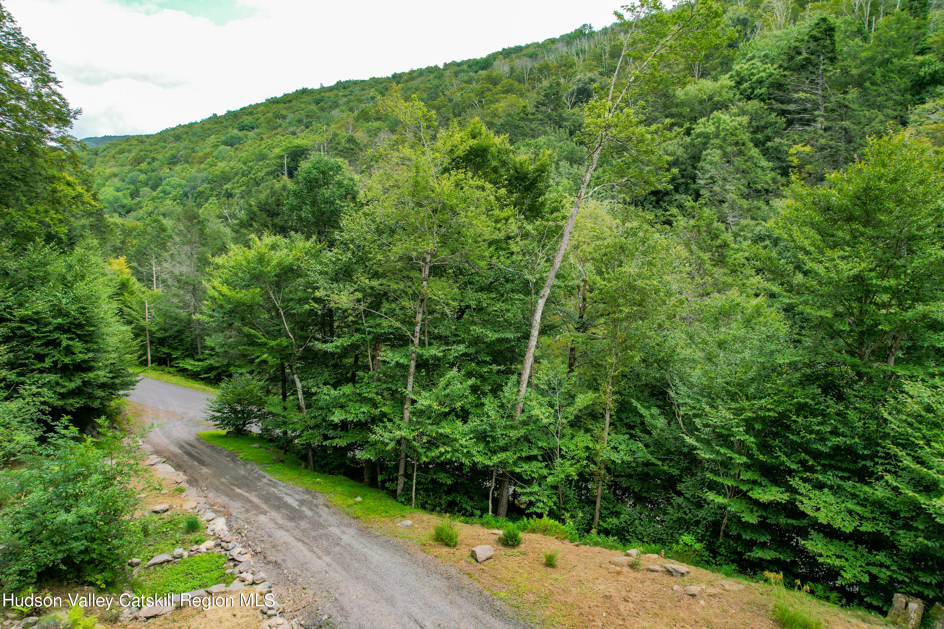 208 Pantherkill Road Phoenicia, NY 12464 - Photo 15 of 16 a view of a lush green forest
