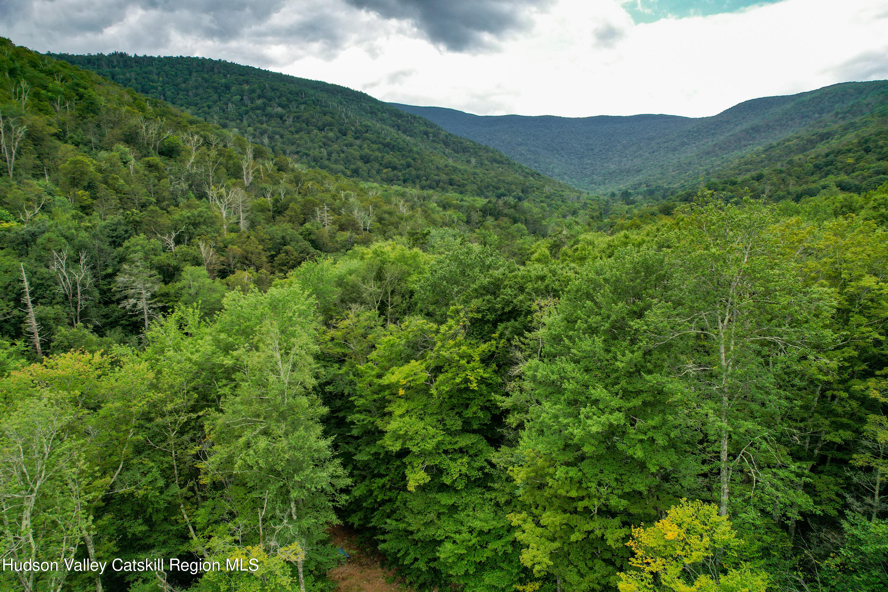 208 Pantherkill Road Phoenicia, NY 12464 - Photo 16 of 16 a view of a lush green hillside and a houses