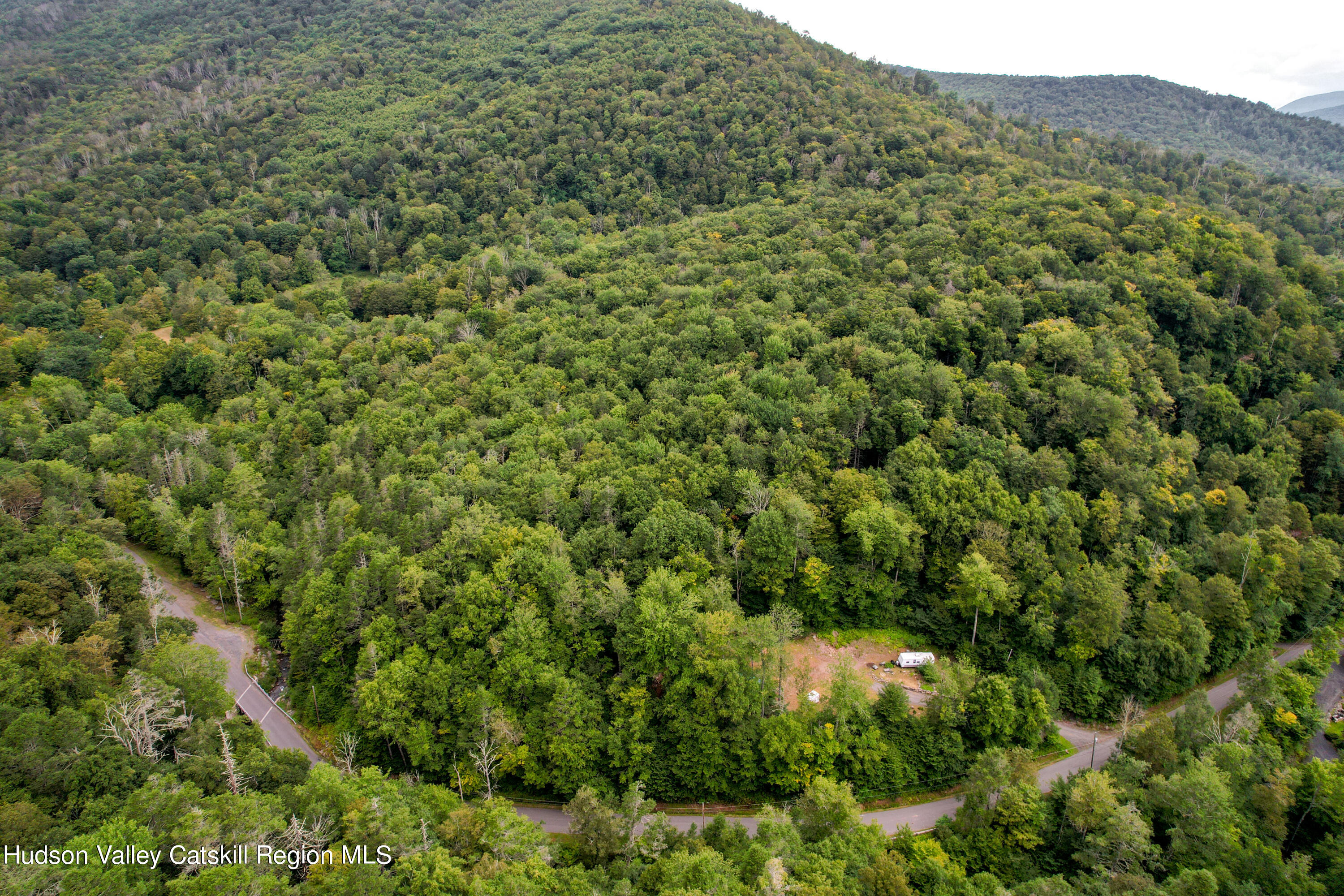 208 Pantherkill Road Phoenicia, NY 12464 - Photo 2 of 16 a view of a lush green forest with and trees