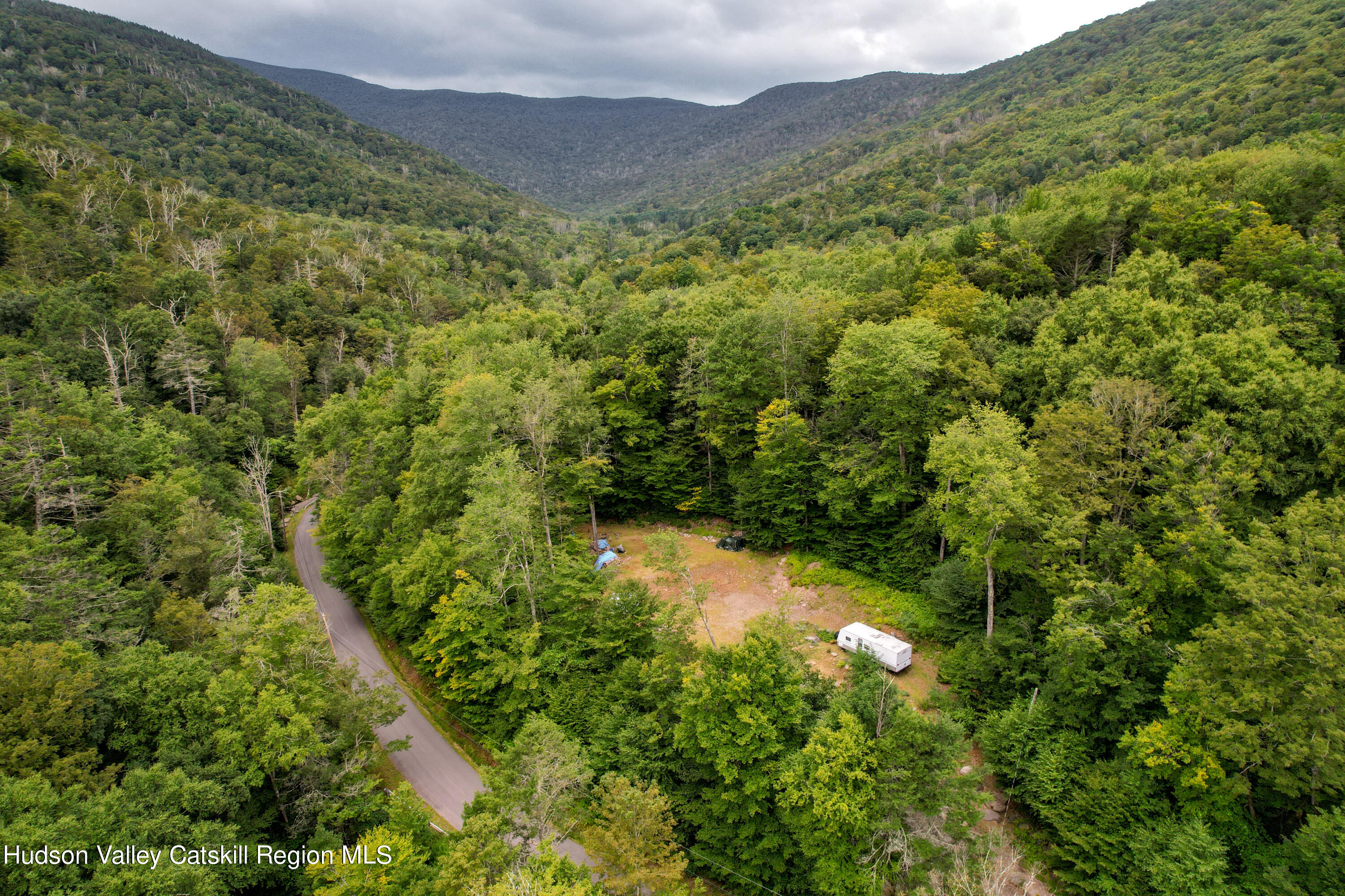208 Pantherkill Road Phoenicia, NY 12464 - Photo 3 of 16 a view of a forest with a street