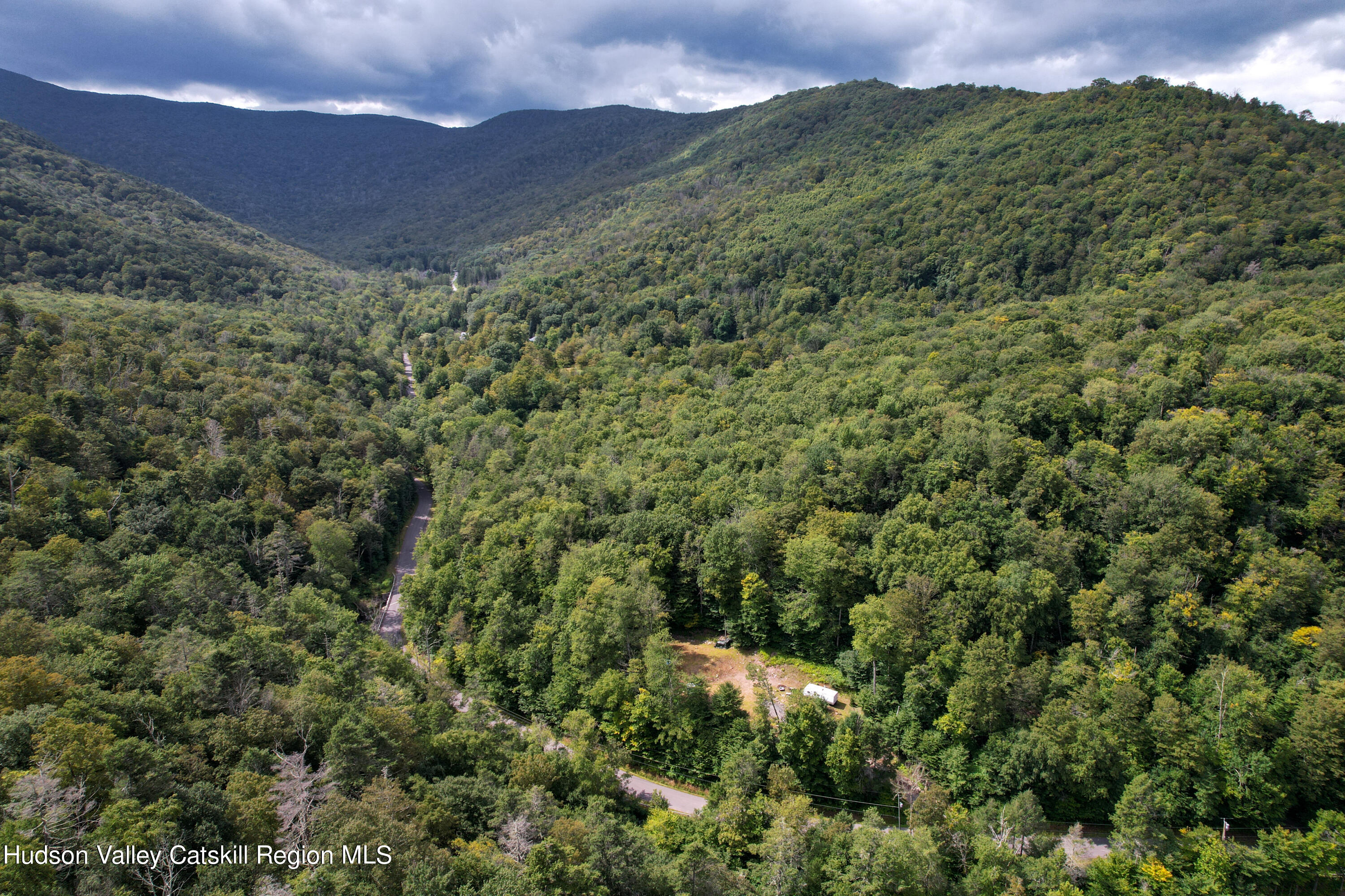 208 Pantherkill Road Phoenicia, NY 12464 - Photo 4 of 16 a view of a lush green forest with a house