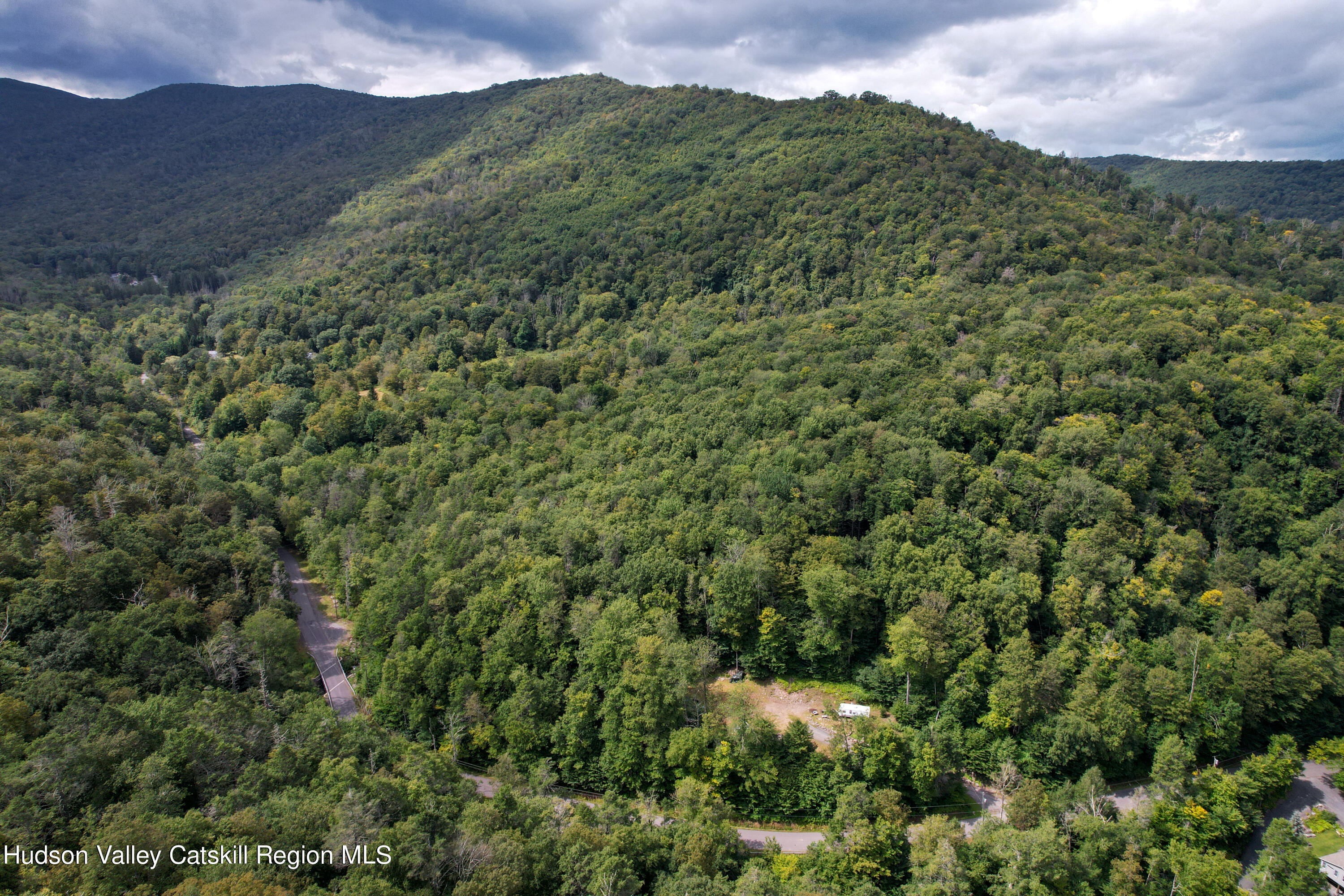 208 Pantherkill Road Phoenicia, NY 12464 - Photo 5 of 16 a view of a forest with a mountain in the background