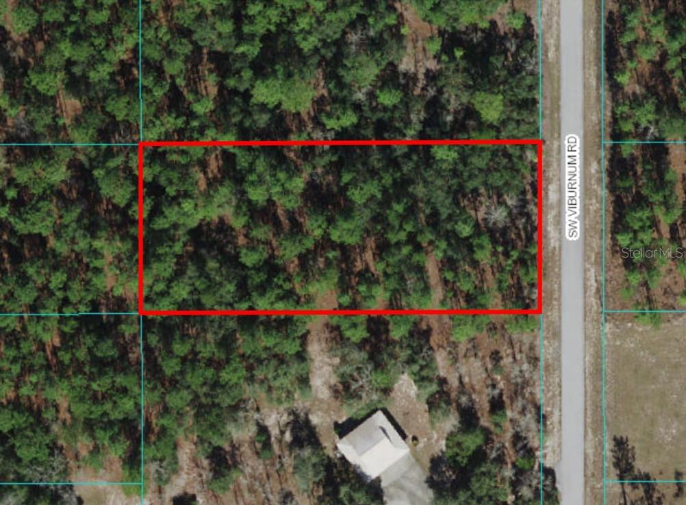 4 Southwest Viburnum Road Dunnellon, FL 34431 - Photo 1 of 1 Gallery Image 1