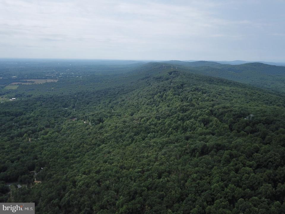 1762 Mercer Road Haymarket, VA 20169 - Photo 4 of 12