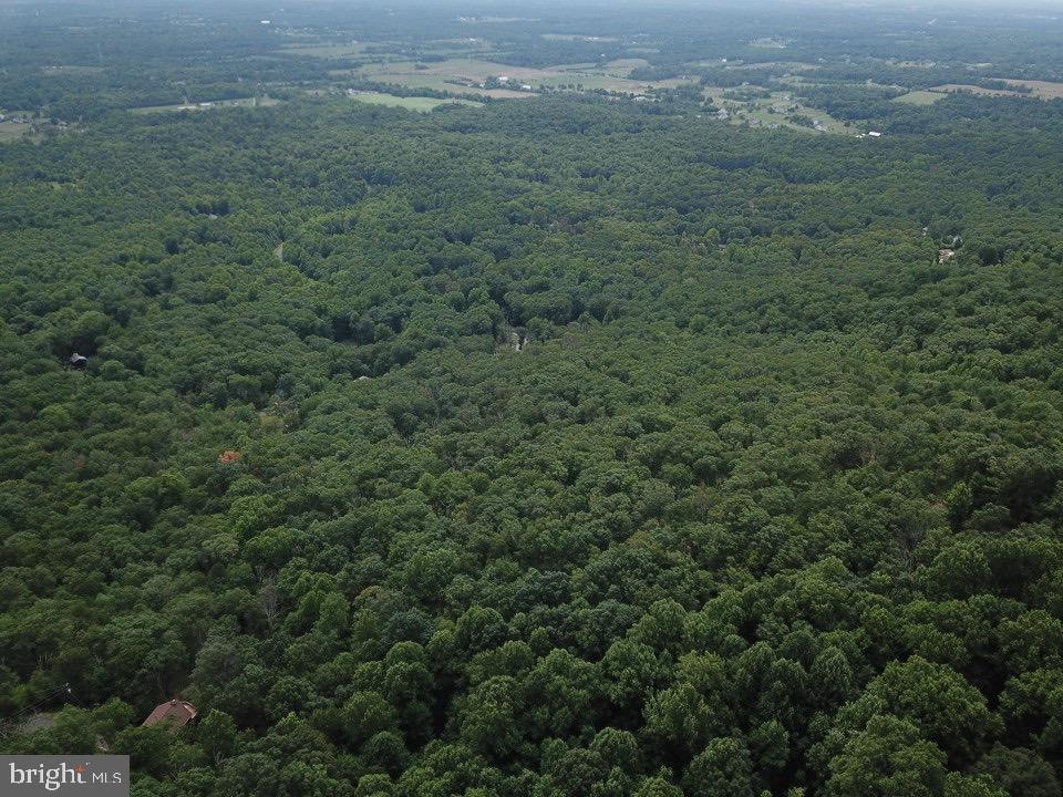 1762 Mercer Road Haymarket, VA 20169 - Photo 5 of 12