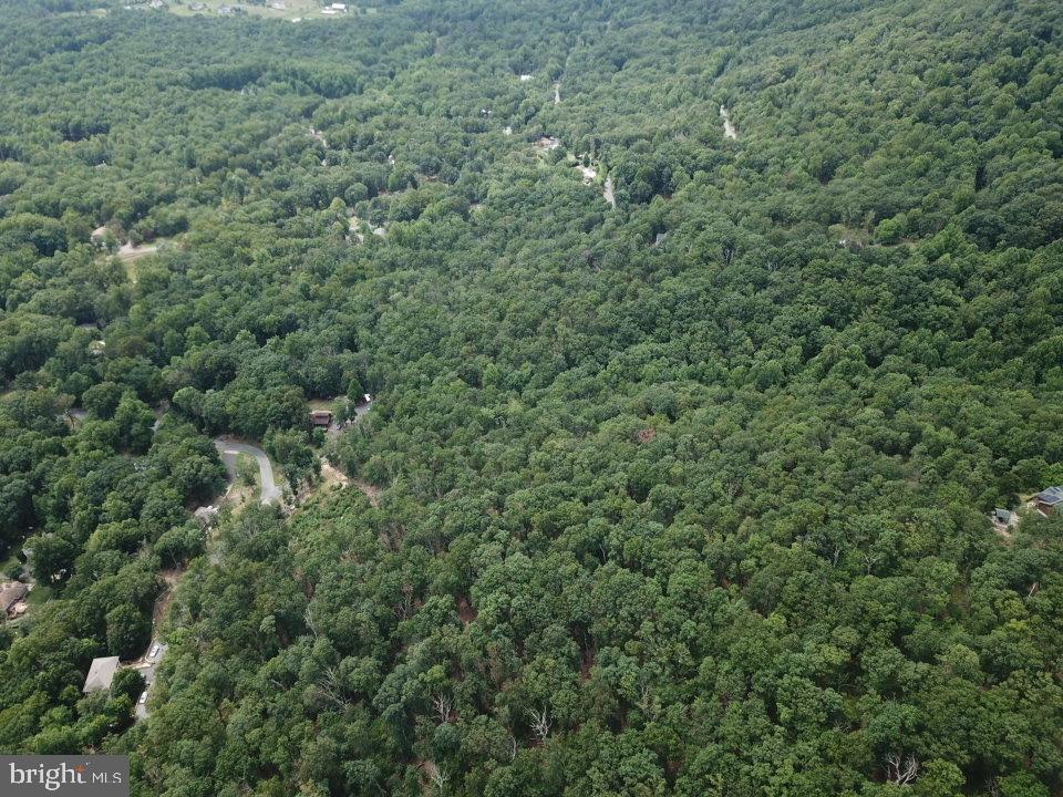 1762 Mercer Road Haymarket, VA 20169 - Photo 8 of 12