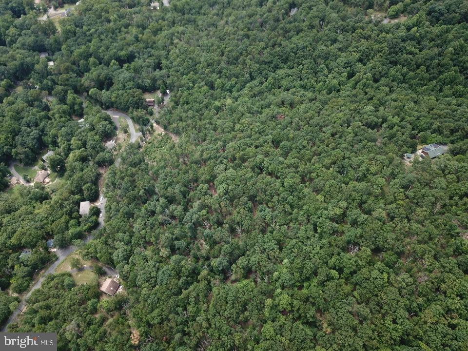 1762 Mercer Road Haymarket, VA 20169 - Photo 9 of 12