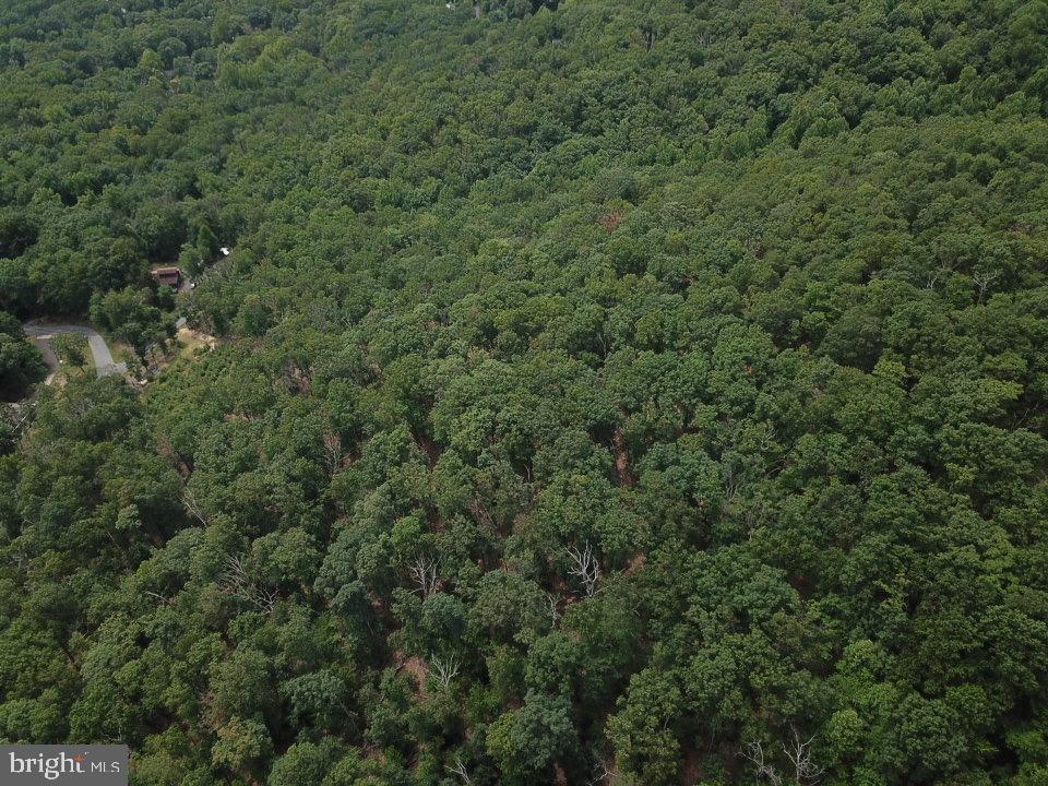 1762 Mercer Road Haymarket, VA 20169 - Photo 10 of 12