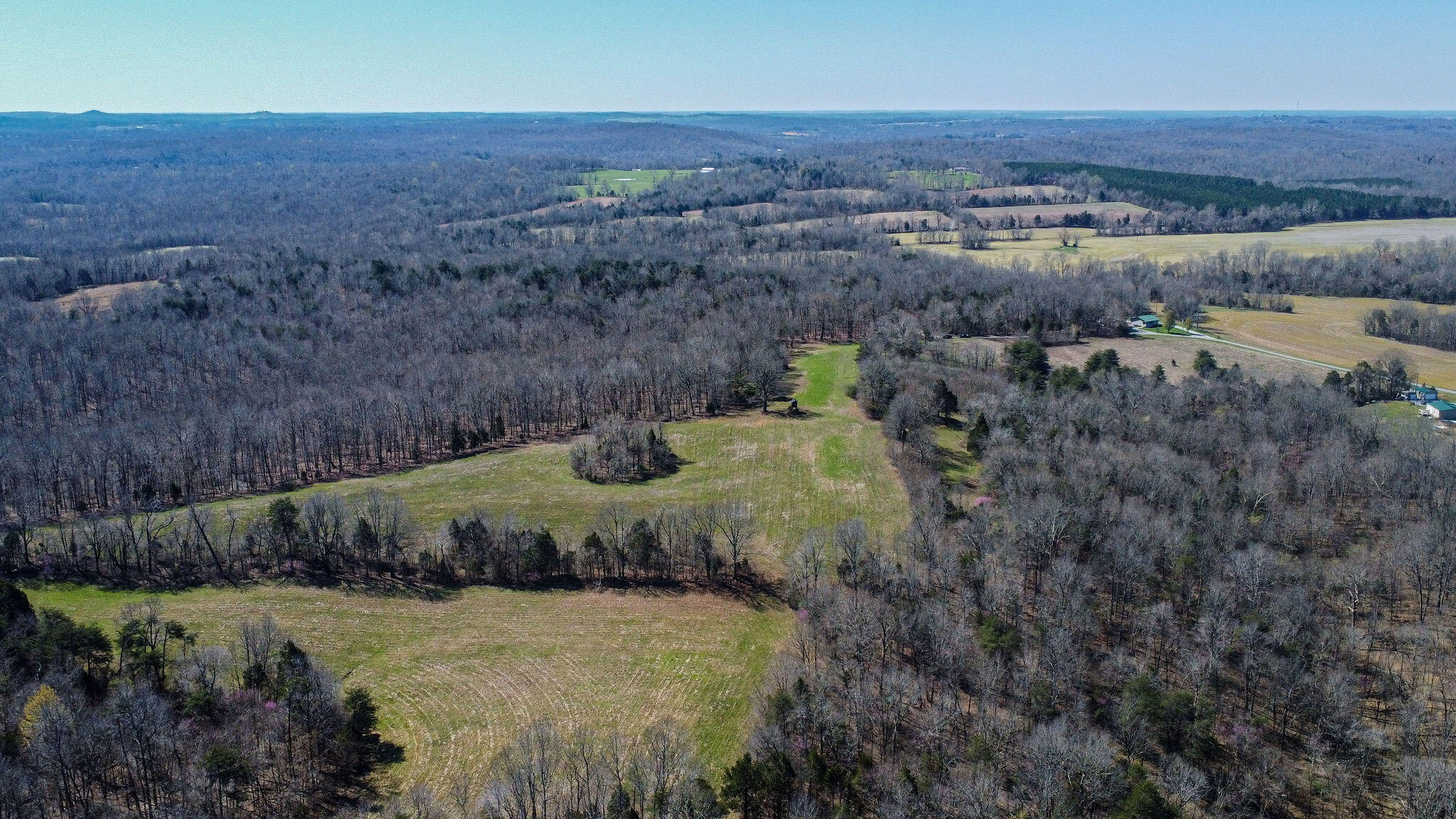 0 Edwards Road Princeton, KY 42445 - Photo 4 of 33 Edwardsrd-42