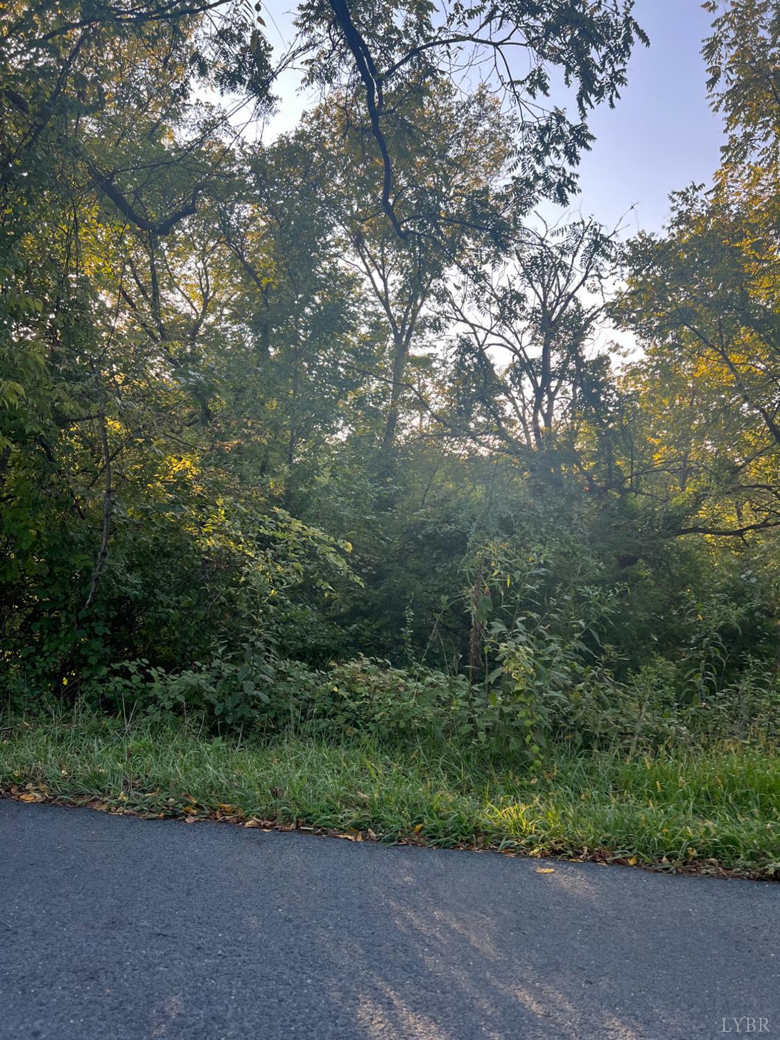 0 Kings Road Madison Heights, VA 24572 - Photo 1 of 1 Gallery Image 1