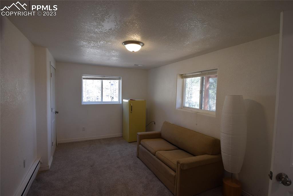 17618 Highway 67 Divide, CO 80814 - Photo 31 of 45 a living room with furniture and a window