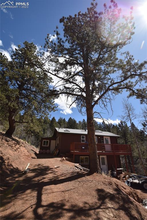 17618 Highway 67 Divide, CO 80814 - Photo 32 of 45 a tree in the middle of a yard