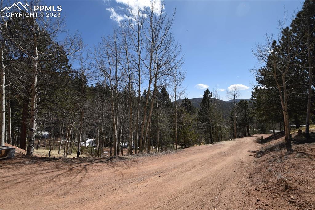 17618 Highway 67 Divide, CO 80814 - Photo 37 of 45 a view of a park with trees