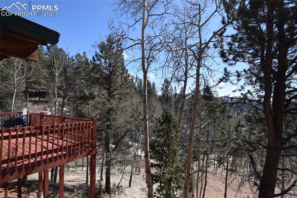 17618 Highway 67 Divide, CO 80814 - Photo 42 of 45 a view of a roof deck with wooden fence and plants