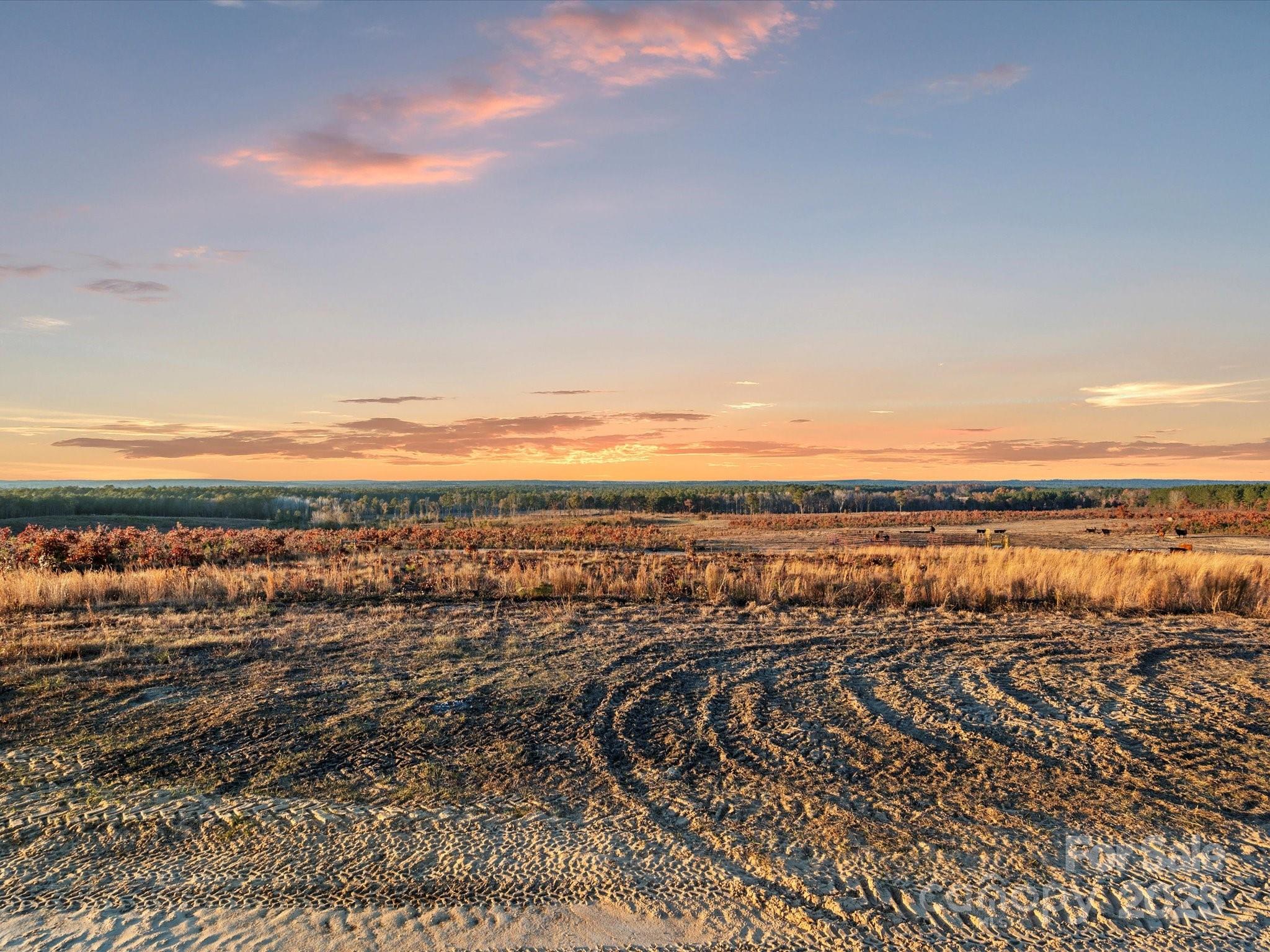 2632 McBride Road Patrick, SC 29584 - Photo 18 of 18 a view of an ocean