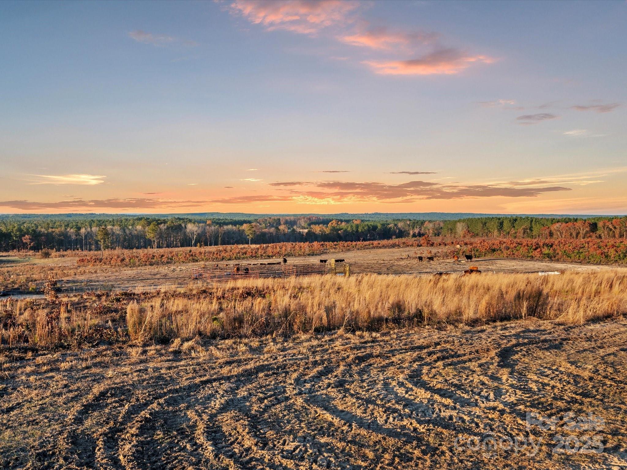 2632 McBride Road Patrick, SC 29584 - Photo 5 of 18 a view of a lake view