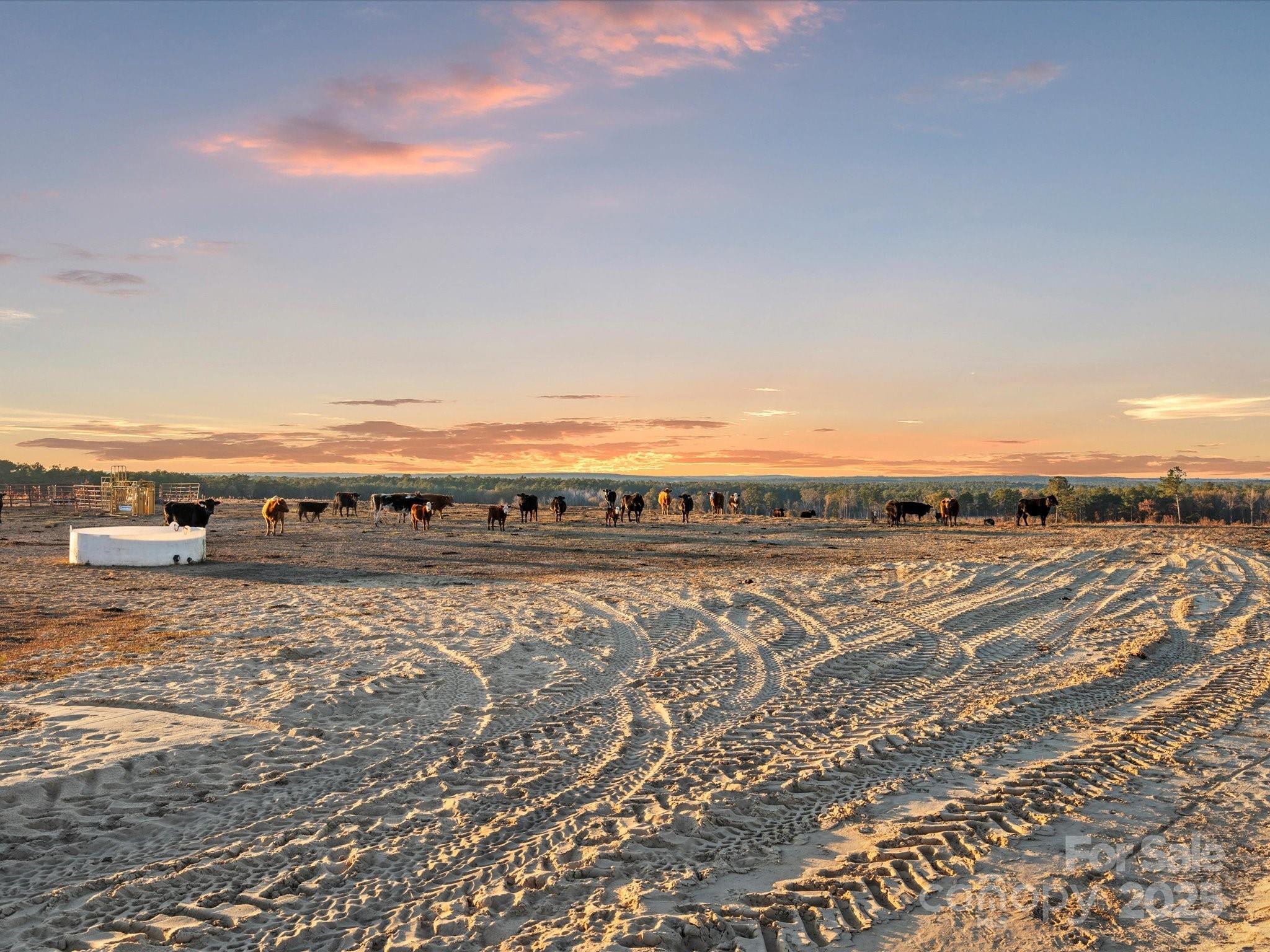 2632 McBride Road Patrick, SC 29584 - Photo 6 of 18