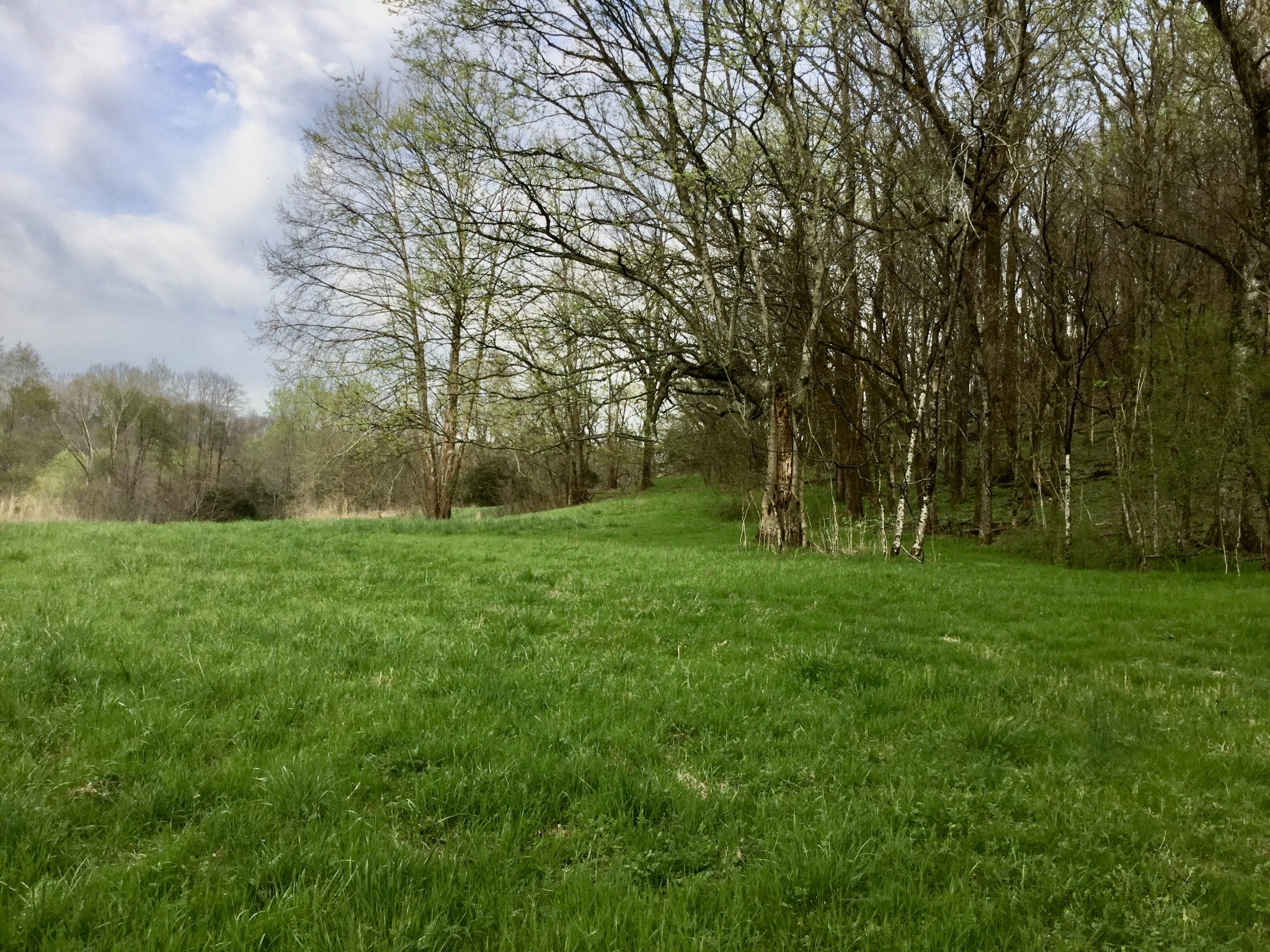 0 Roy Road Frankewing, TN 38459 - Photo 23 of 46