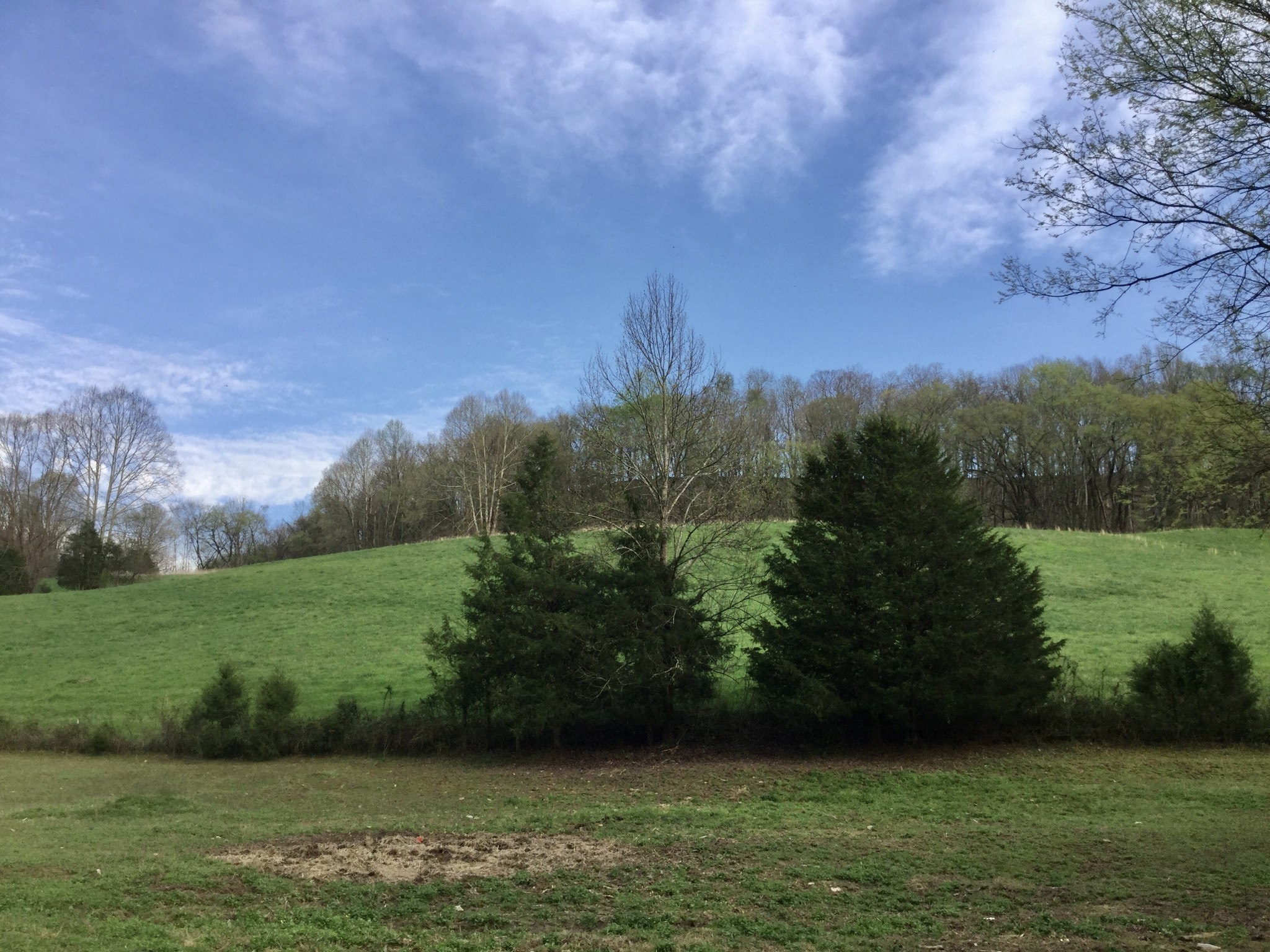 0 Roy Road Frankewing, TN 38459 - Photo 3 of 46