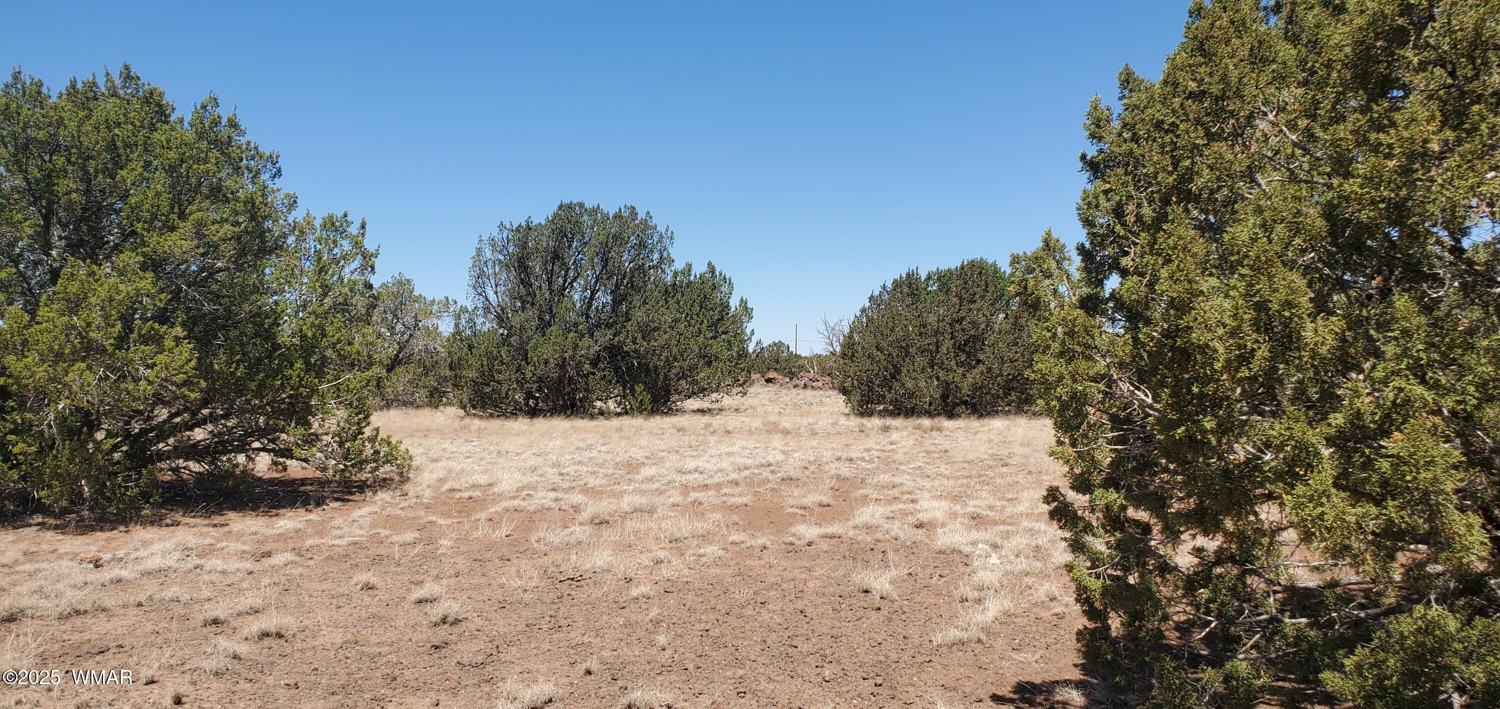 Tbd Highplains Road Show Low, AZ 85901 - Photo 1 of 14 Main