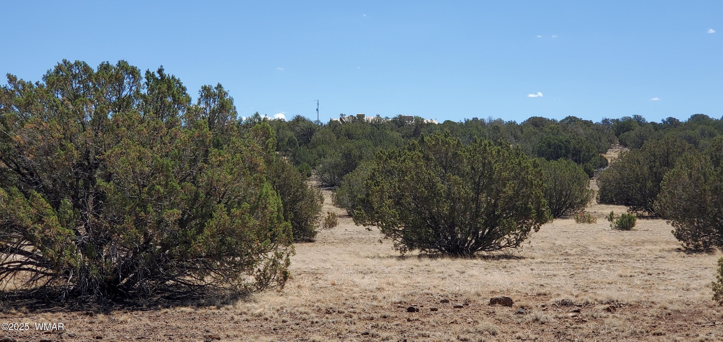 Tbd Highplains Road Show Low, AZ 85901 - Photo 11 of 14 20250725_110807