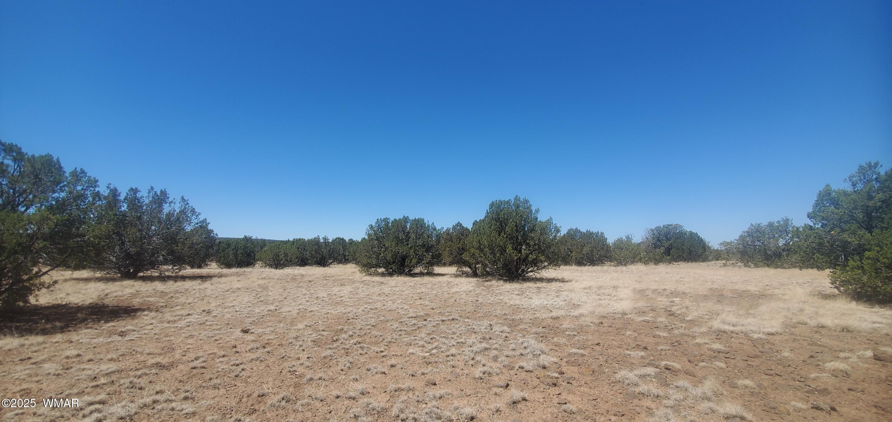 Tbd Highplains Road Show Low, AZ 85901 - Photo 12 of 14 20250725_110832