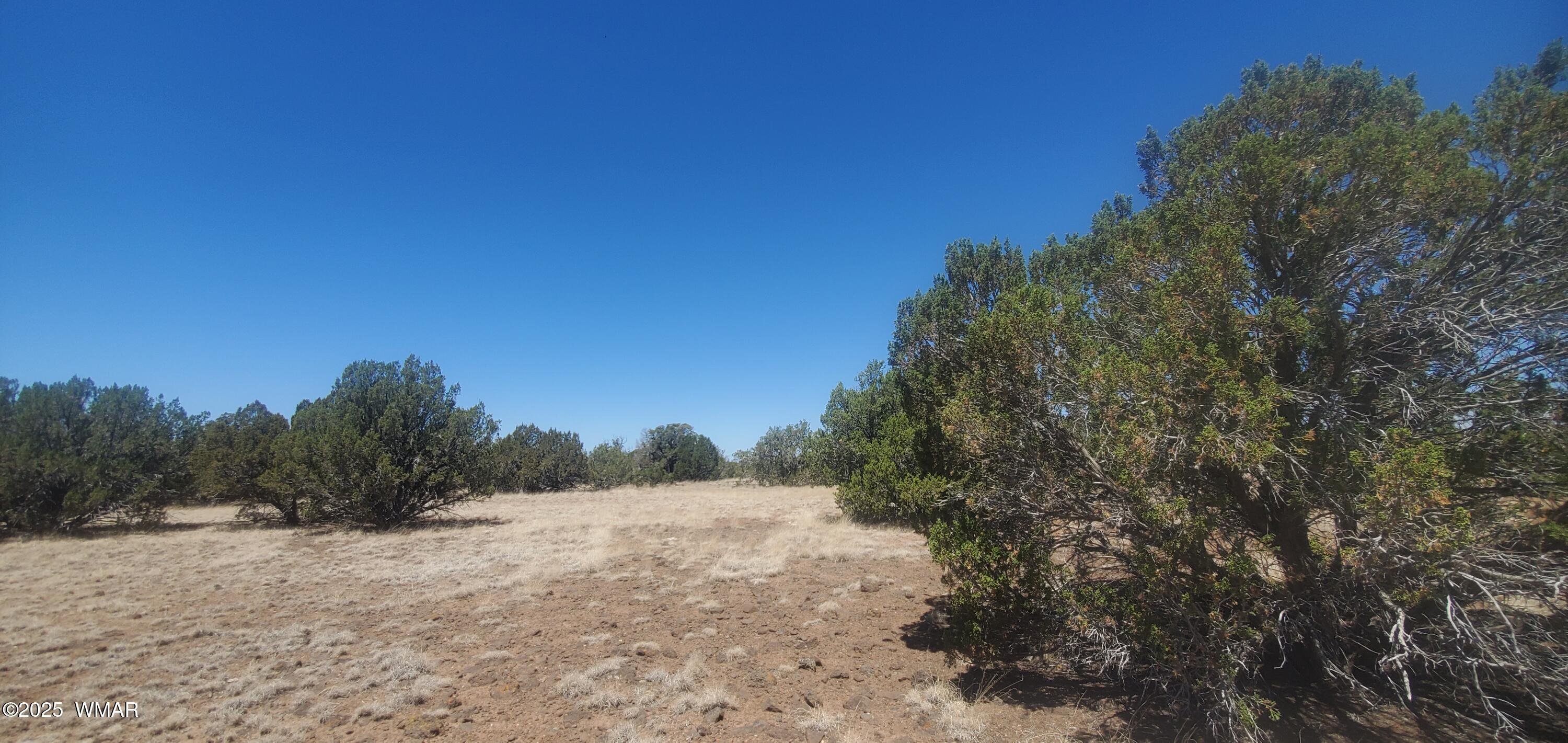Tbd Highplains Road Show Low, AZ 85901 - Photo 13 of 14 20250725_110835